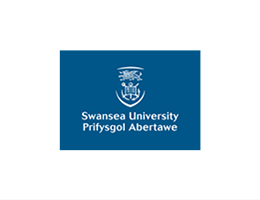 Swansea University