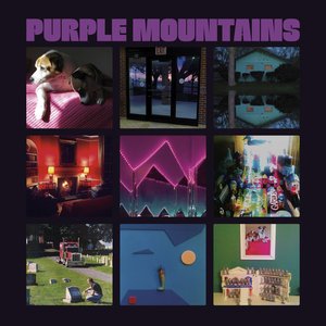 Image pour 'Purple Mountains'