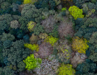 © Juan Carlos Munoz / naturepl.fr / EB Photo