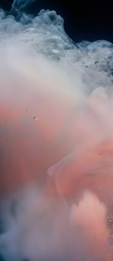 Ein Bild einer pfirsichfarbenen, abstrakten, flüssigen Welle mit dem Prompt „Pfirsichfarbene, abstrakte, flüssige Welle“.