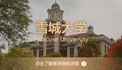 雪城大学