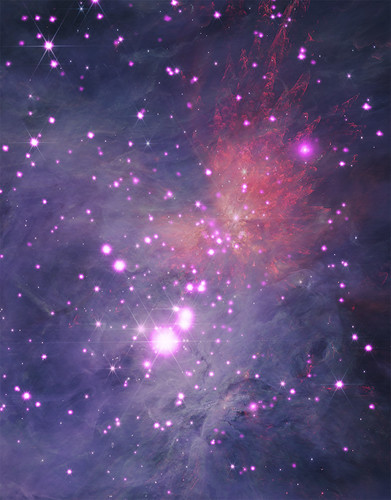 Orion Nebula for Chandra's 25th Anniversary (Chandra/Webb composite)