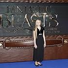 Faith Wood-Blagrove at an event for Fantastic Beasts and Where to Find Them (2016)