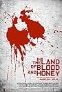 In the Land of Blood and Honey (2011)