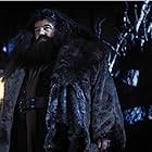 Robbie Coltrane in Harry Potter and the Sorcerer's Stone (2001)