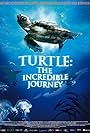 Turtle: The Incredible Journey (2008)