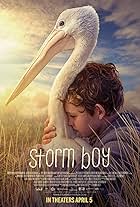 A Pelican's Tale: The Making of 'Storm Boy'