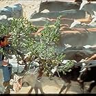 Billy Crystal in City Slickers (1991)