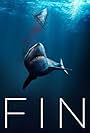 Fin (2021)