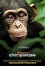 Chimpanzee (2011)