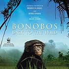 Bonobos: Back to the Wild (2011)