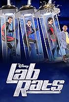 Lab Rats