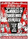 The Miracle of the White Reindeer (1960)