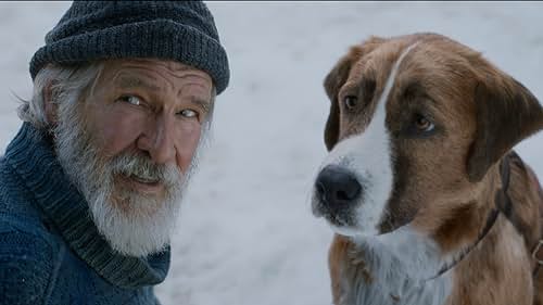 IMDb sits down with 'Call of the Wild' stars Harrison Ford, Cara Gee, and Omar Sy to explain how their film adaptation differs from Jack London's classic novel, why their characters are able to earn trust from the movie's central canine character, and how they were able to shoot such emotional scenes with a CGI dog.