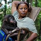 Bonobos: Back to the Wild (2011)