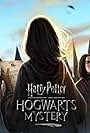 Harry Potter: Hogwarts Mystery (2018)