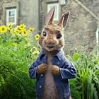 James Corden in Peter Rabbit (2018)