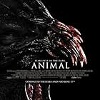 Animal (2014)