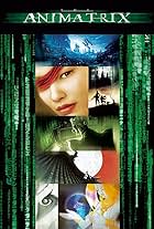 The Animatrix