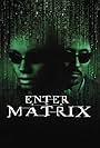 Enter the Matrix (2003)