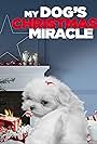 My Dog's Christmas Miracle (2011)