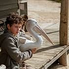 Finn Little in Storm Boy (2019)