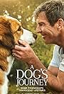 Dennis Quaid and Josh Gad in A Dog's Journey (2019)