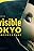 Invisible Tokyo