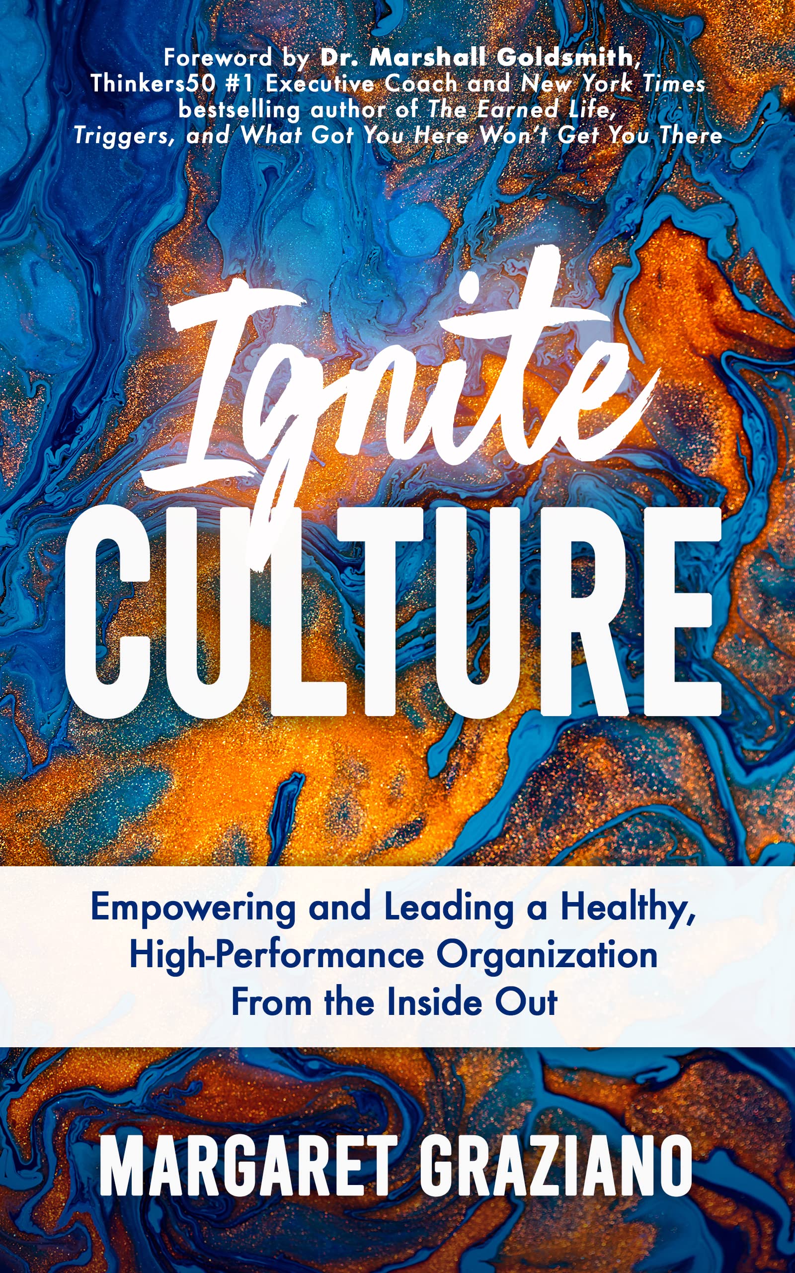 Ignite Culture: Empowering and Leading a Healthy, High-Performance Organization from the Inside Out Book Cover