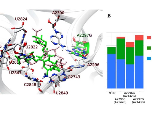 Molecular Characterization and Mutational Analysis ...