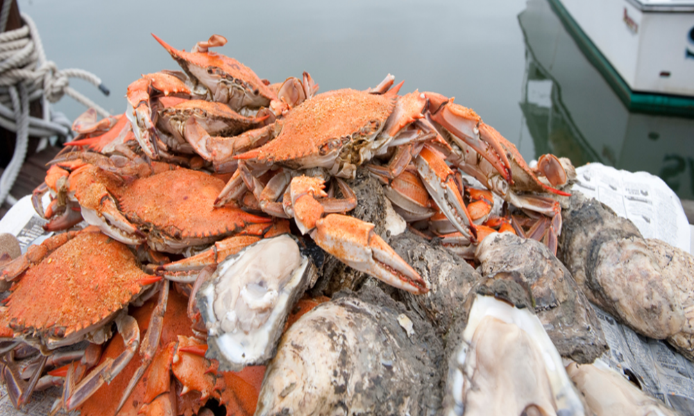 Enjoy Maryland Crabs!