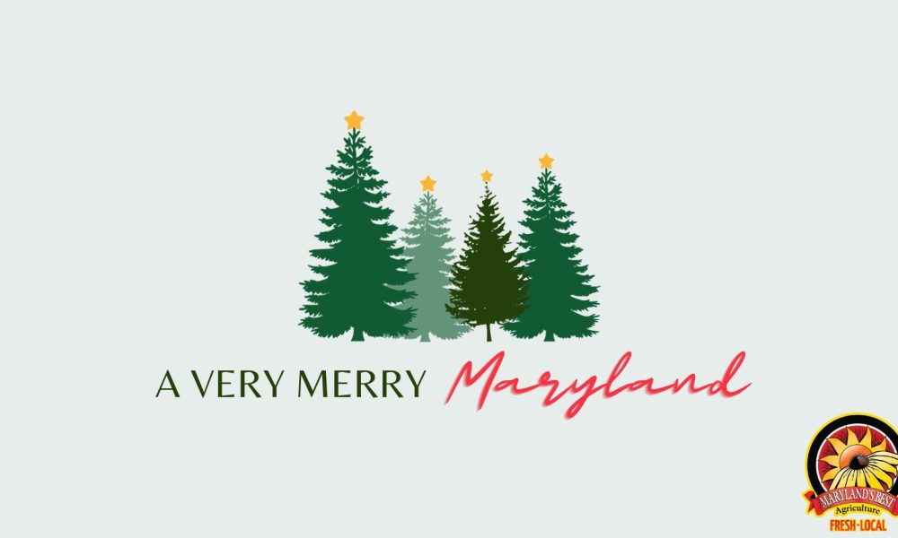 A Very Merry Maryland!