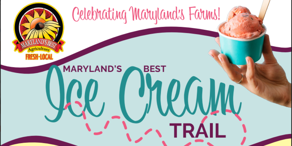 Enjoy the Ice Cream Trail!