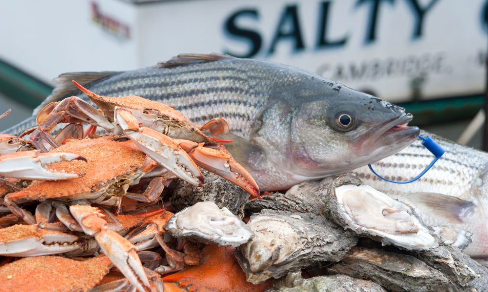 Celebrate ‘Buy Maryland Seafood Days’