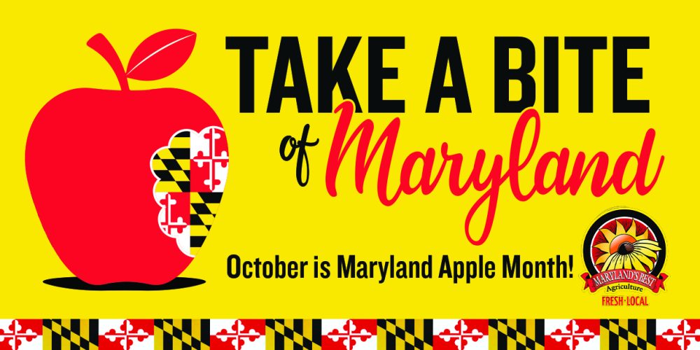 Take a Bite Out of Maryland!