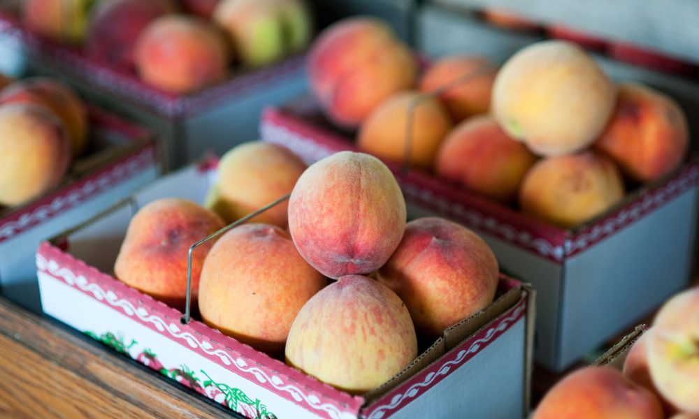 Maryland Peach Season!