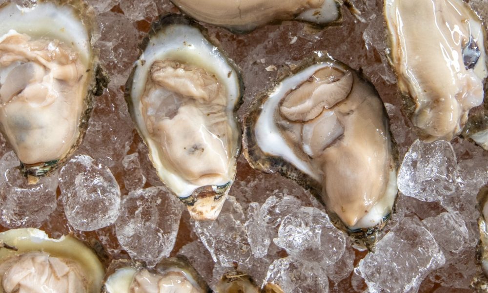 Maryland Oyster Season