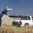 Wheat harvest