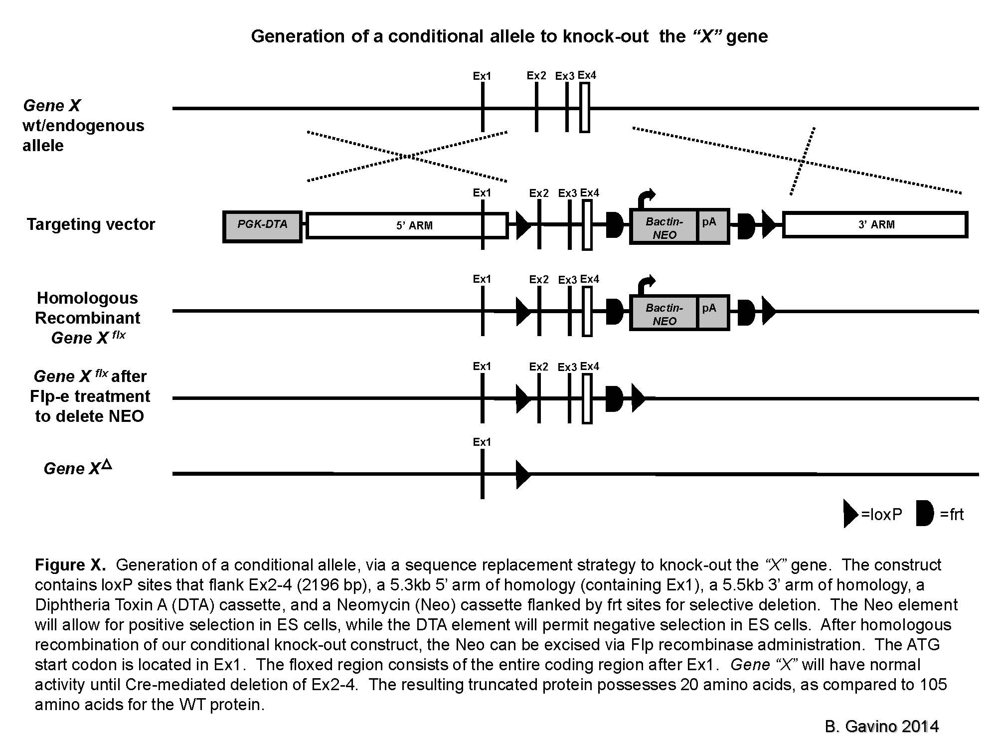 Targeting Schematic Example