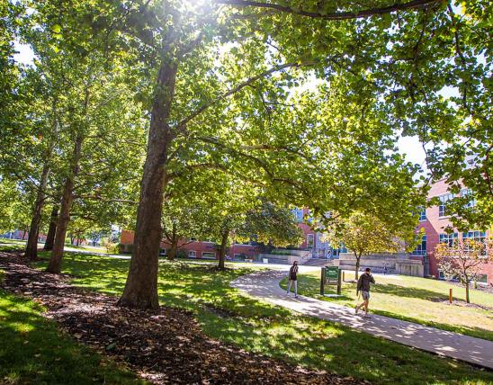 Trees on Campus