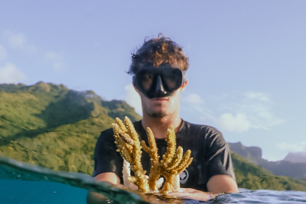 La storia incredibile di Titouan Bernincot, il fondatore di Coral Gardeners