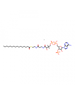 Palmitoyl coenzyme A lithium salt