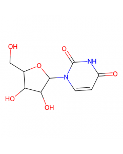 Uridine - 99%，for cell culture, used for , CAS No. 58-96-8, by Aladdin Scientific