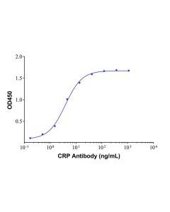 Native Human C-Reactive Protein - , expressed in , from , ≥95% (SDS-PAGE), used for , CAS No.