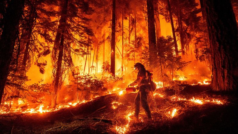 A firefighter uses a drip torch to burn vegetation while trying to stop the Park Fire from near Mill Creek in Tehama County, Calif., on Wednesday, Aug. 7, 2024. (AP Photo/Noah Berger)