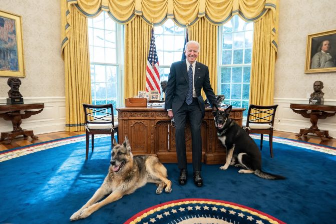 Biden poses with his dogs, Champ and Major, in the Oval Office in February 2021. The German shepherds marked a return to a <a href="http://www.cnn.com/2013/08/20/politics/gallery/presidential-pets/index.html" target="_blank"