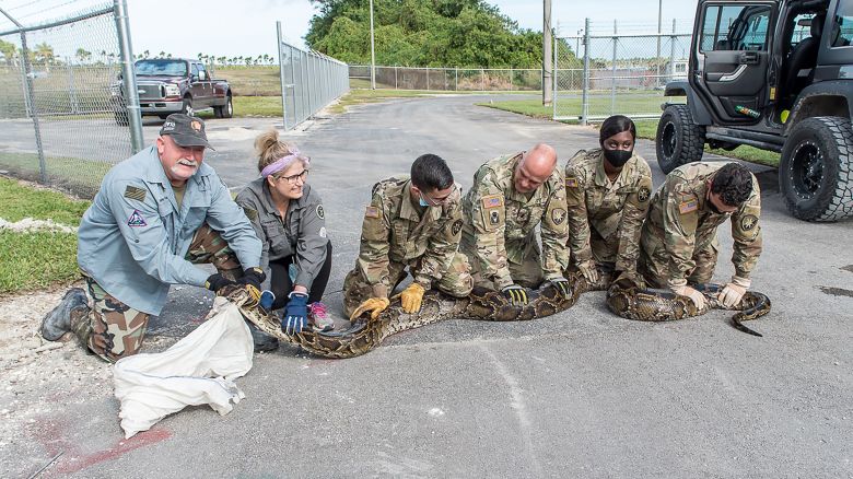 The first one is with me, my wife Melanie (former FWC Python contractor) and a group of Soldiers after me and the wife captured a 17 foot 155 pound Burmese python back in December 2020. At that time it was the heaviest python captured by a contractor.