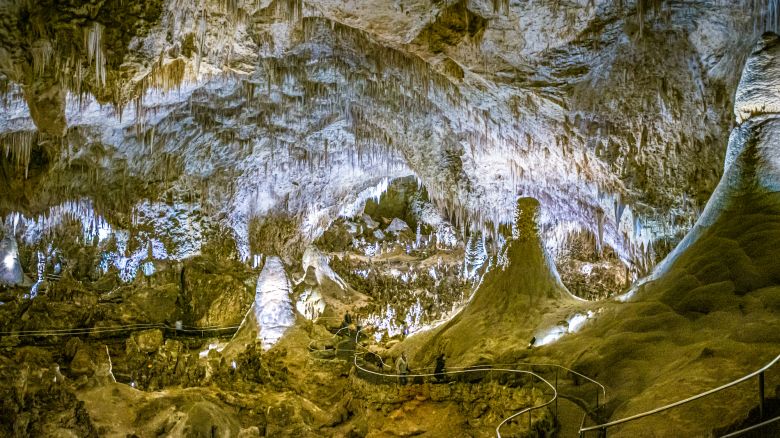 Carlsbad Caverns National Park - New Mexico, March 10, 2021