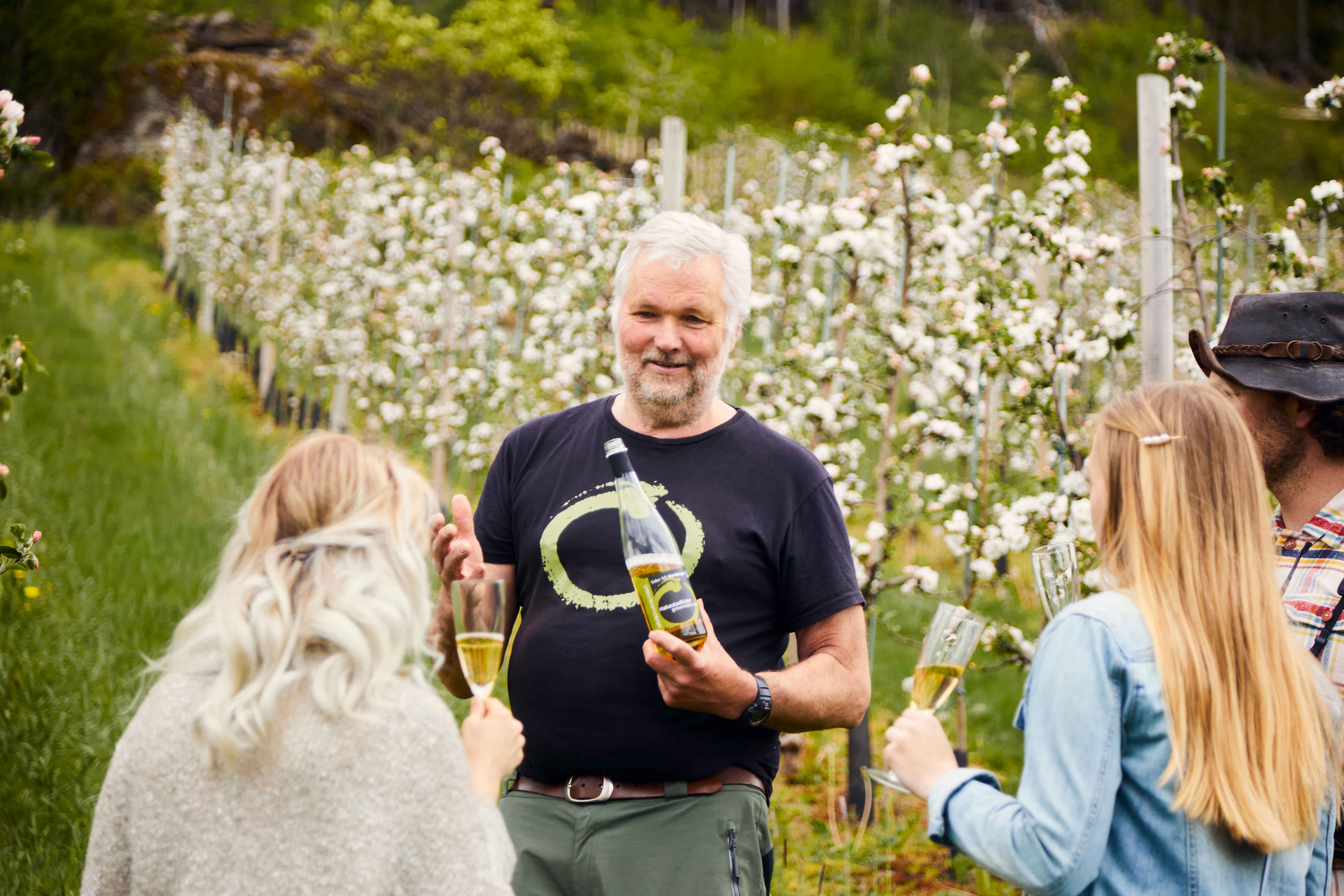 Ulvik Frukt & Cideri