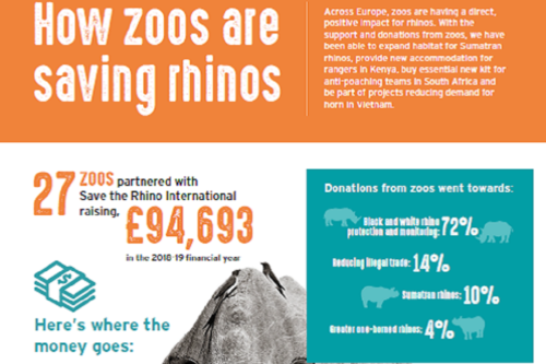 Zoos Help Save Rhinos